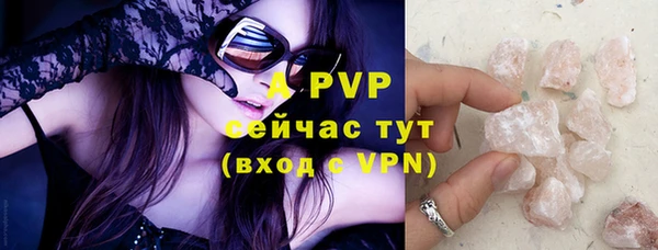 прущие крисы Магадан