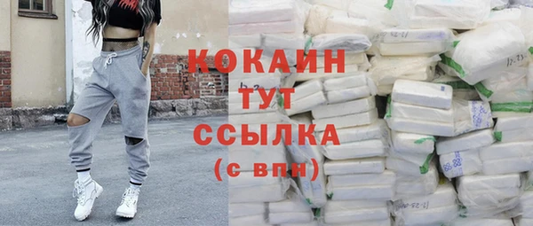 прущие крисы Магадан