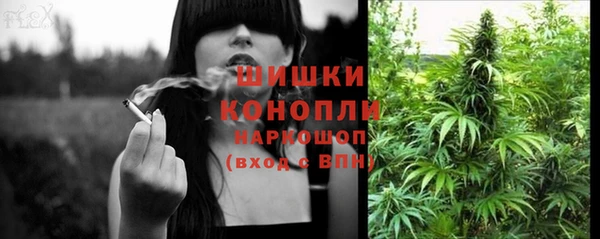 прущие крисы Магадан