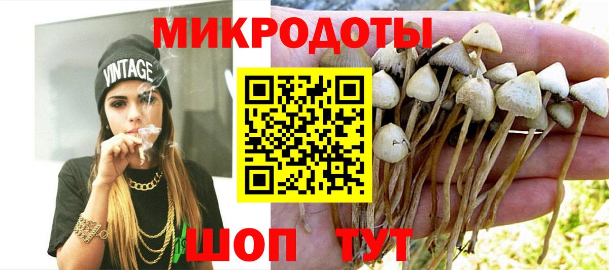 закладки  Галлюциногенные грибы Psilocybe  Вход с VPN  Кудрово 
